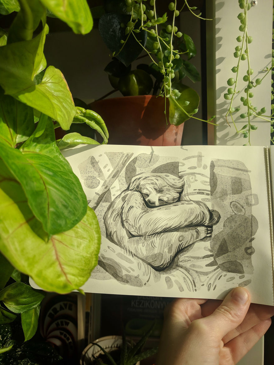 Pen And Ink Drawings For David Attenborough