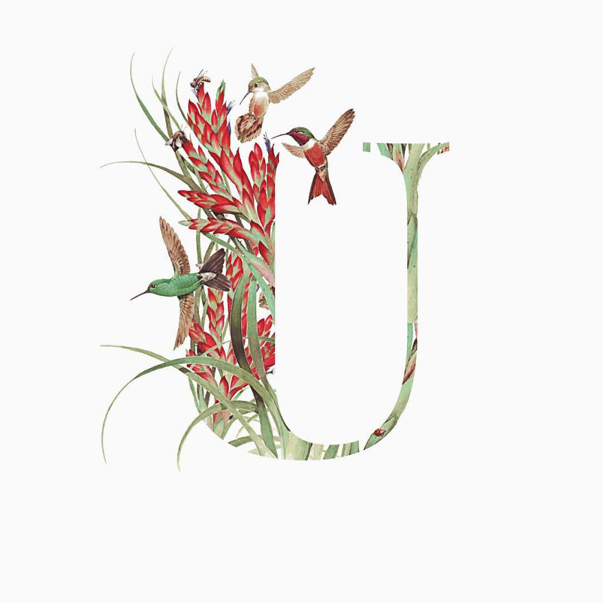 I Started Drawing Alphabet Letters To Overcome My Creative Struggles