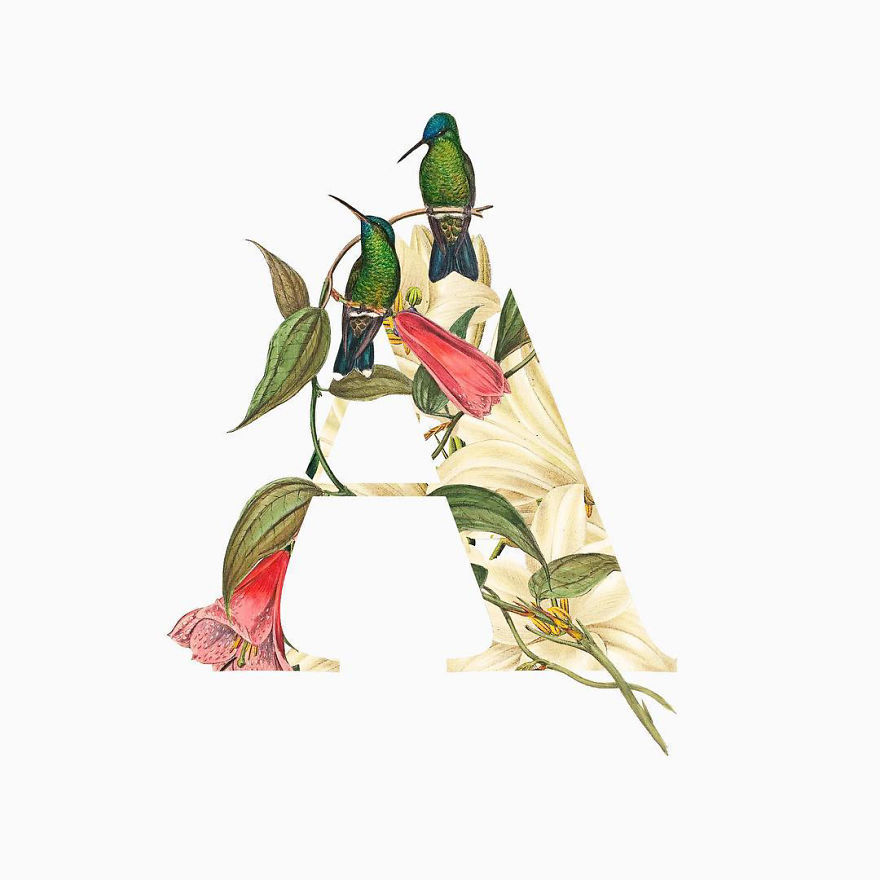 I Started Drawing Alphabet Letters To Overcome My Creative Struggles