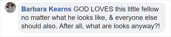 A Man Found The Grumpiest Cat Ever That Was Badly Injured In The Streets Of London