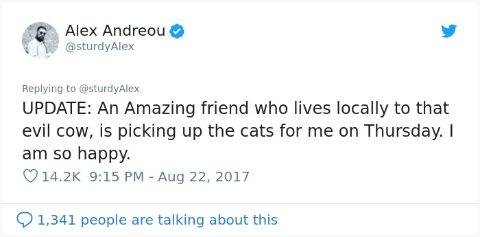Gay Man Gets Turned Down From Adopting A Rescue Cat, So He Shares The Texts Online Gay Man Gets Turned Down From Adopting A Rescue Cat, So He Shares The Texts Online