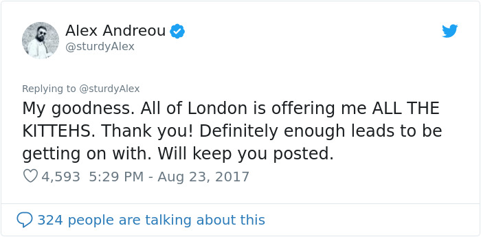 Gay Man Gets Turned Down From Adopting A Rescue Cat, So He Shares The Texts Online Gay Man Gets Turned Down From Adopting A Rescue Cat, So He Shares The Texts Online