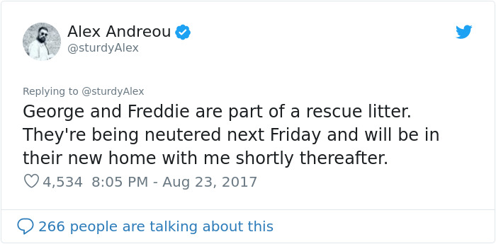 Gay Man Gets Turned Down From Adopting A Rescue Cat, So He Shares The Texts Online Gay Man Gets Turned Down From Adopting A Rescue Cat, So He Shares The Texts Online