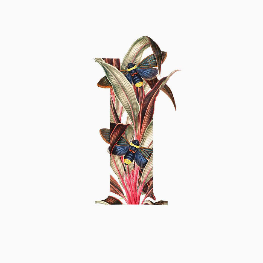 I Started Drawing Alphabet Letters To Overcome My Creative Struggles