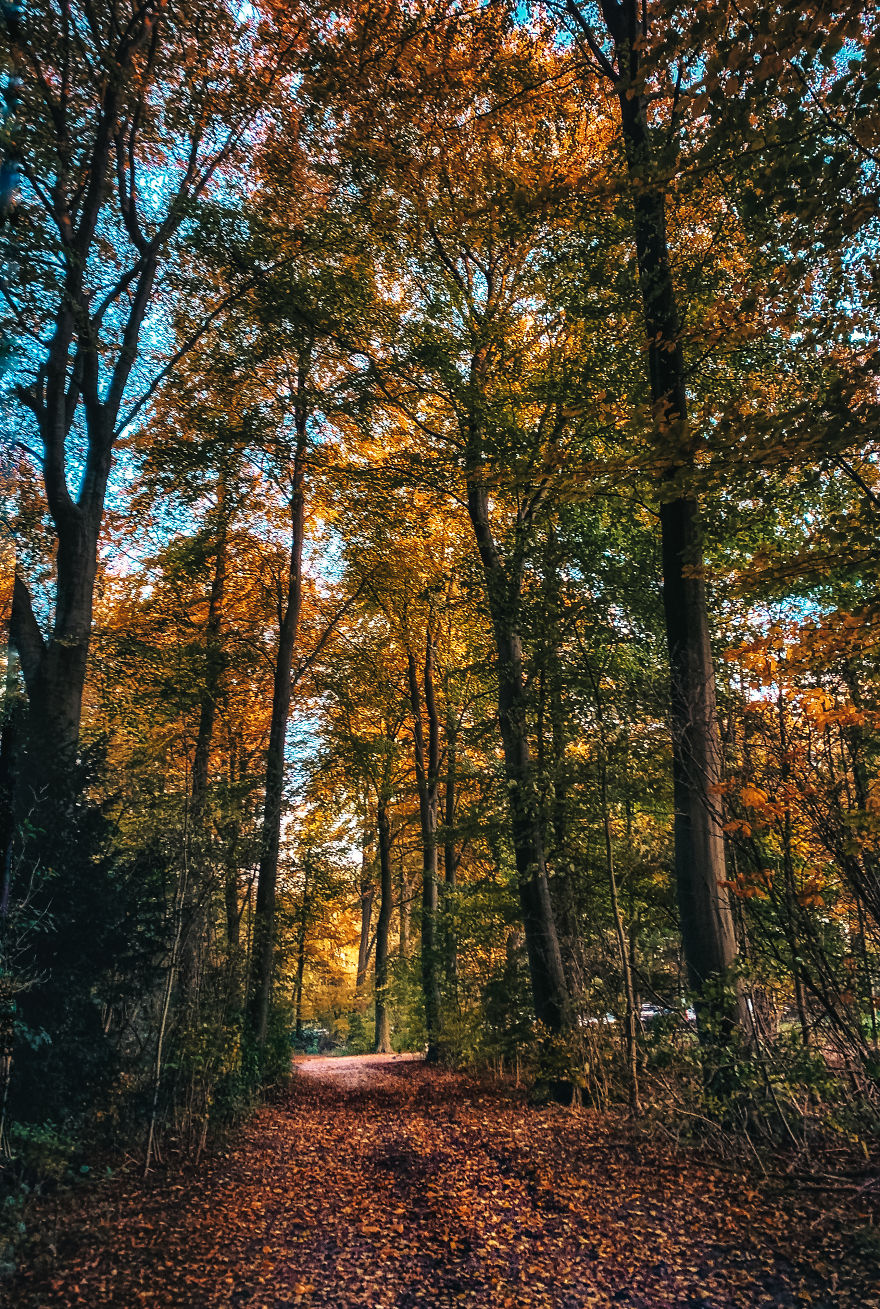 I Captured Autumn In Amsterdam