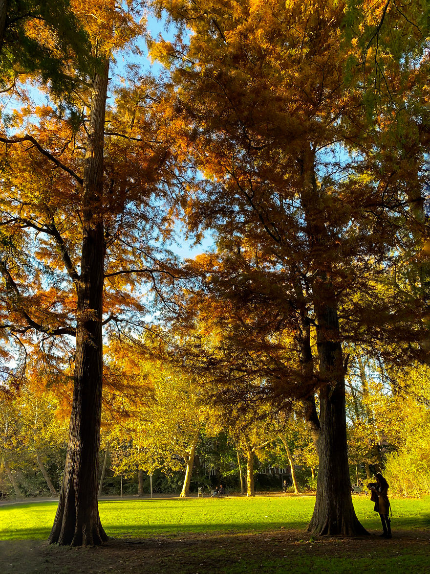 I Captured Autumn In Amsterdam