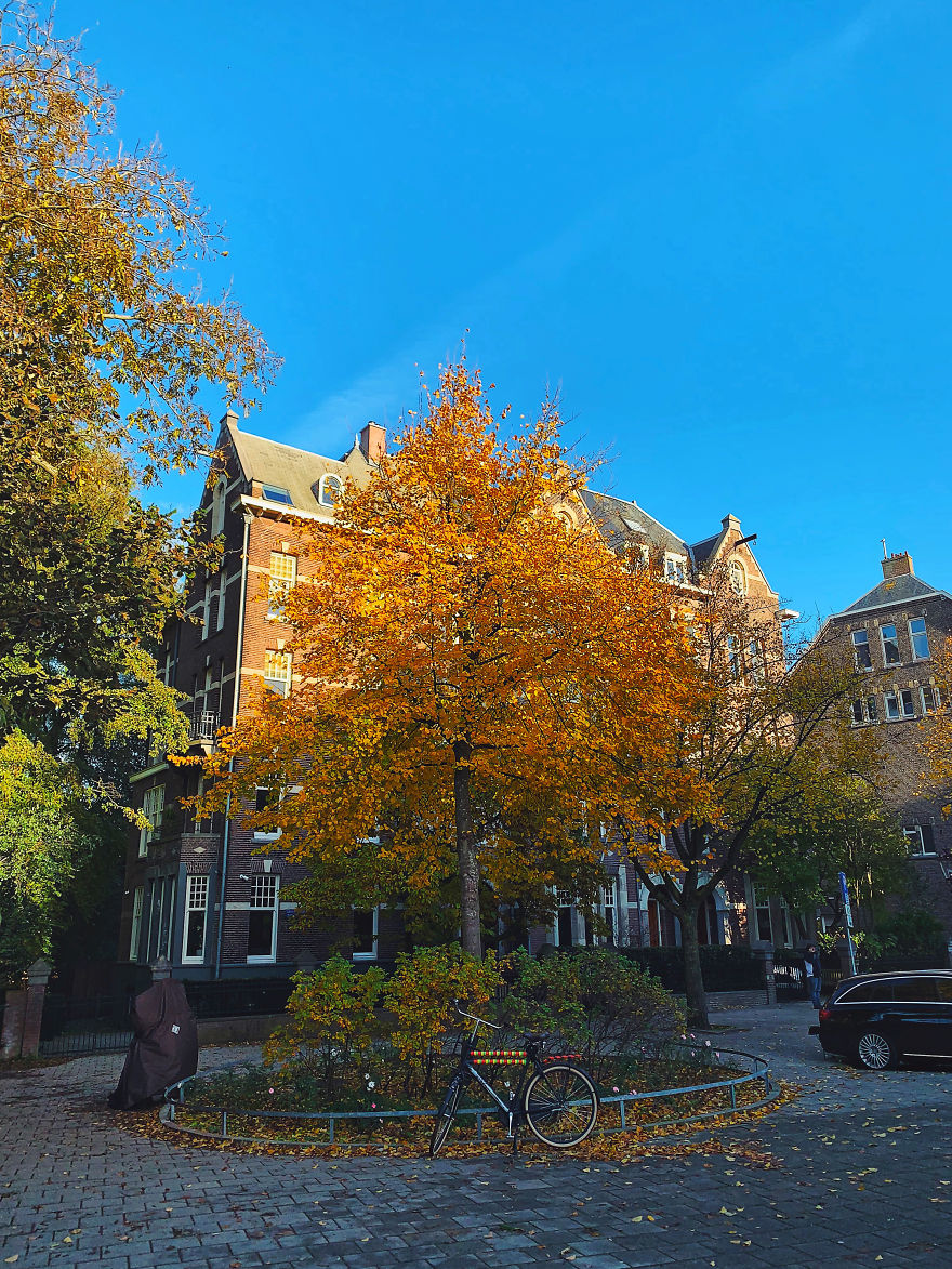 I Captured Autumn In Amsterdam I Captured Autumn In Amsterdam
