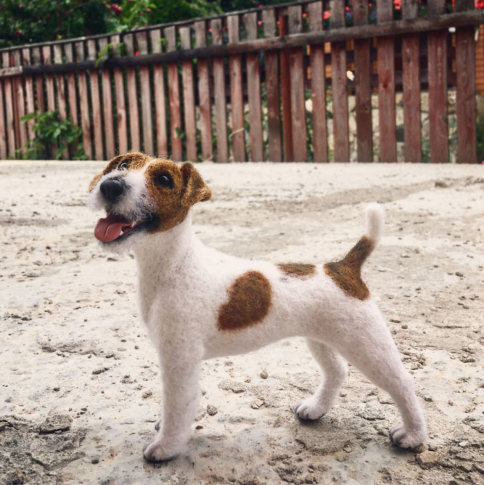 Artist Turns Wool Fibers Into Very Cute Animals