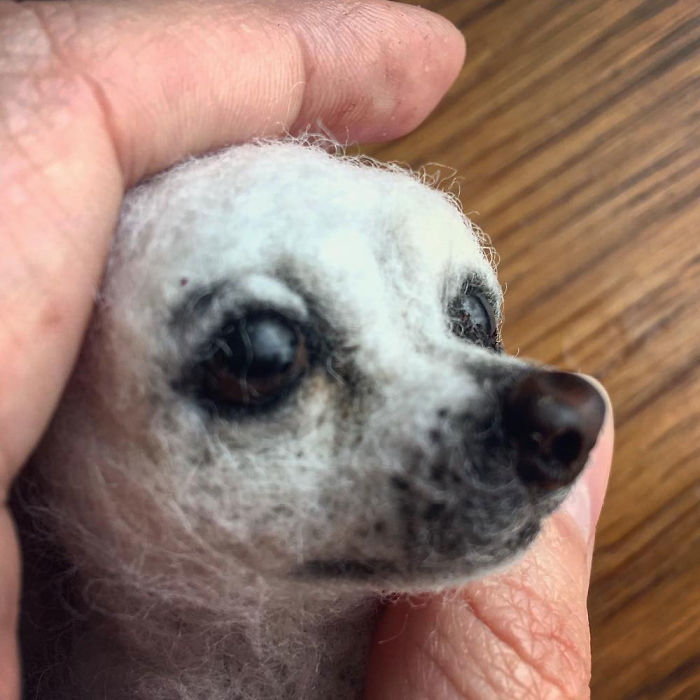 Artist Turns Wool Fibers Into Very Cute Animals