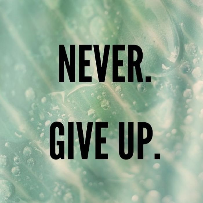 No. Seriously. It's Never Gonna Happen. Give Up