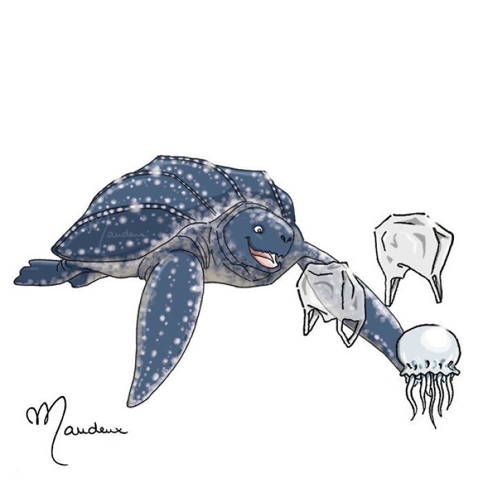 Sea Turtles Are Confused With Plastic