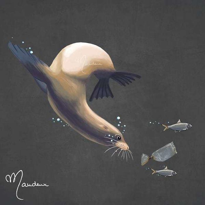 The Sea Lion Is Often Lost Between Fish And Plastic