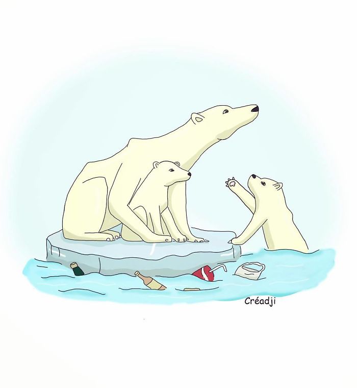 Look At What We Are Destroying