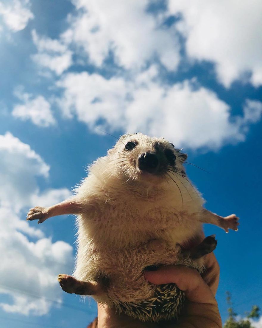 I Believe I Can Fly. I Believe I Can Touch The Sky