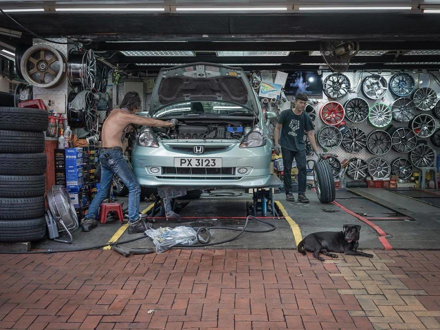 Photographer Does A Brilliant Project On The Dogs Guarding The Auto Thieves Workshops In Hong Kong