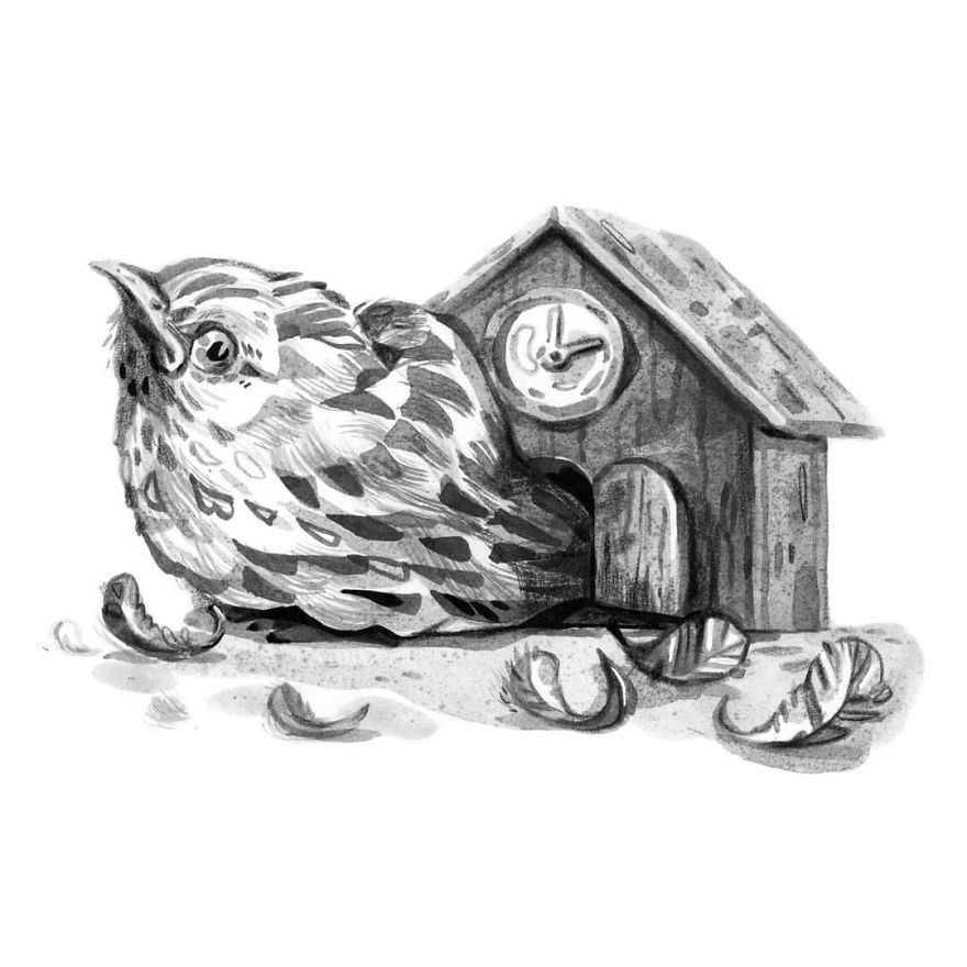 Pen And Ink Drawings For David Attenborough