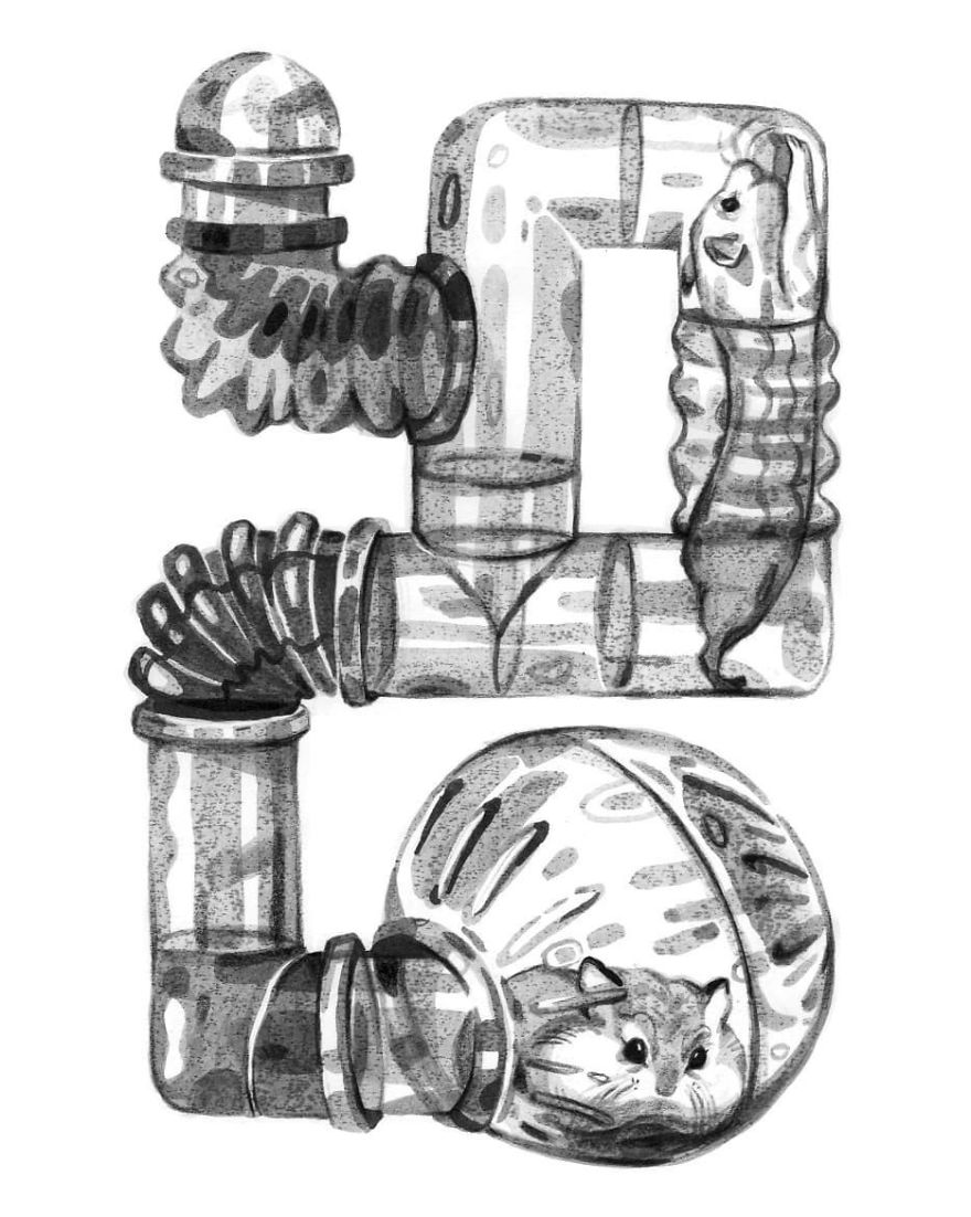 Pen And Ink Drawings For David Attenborough