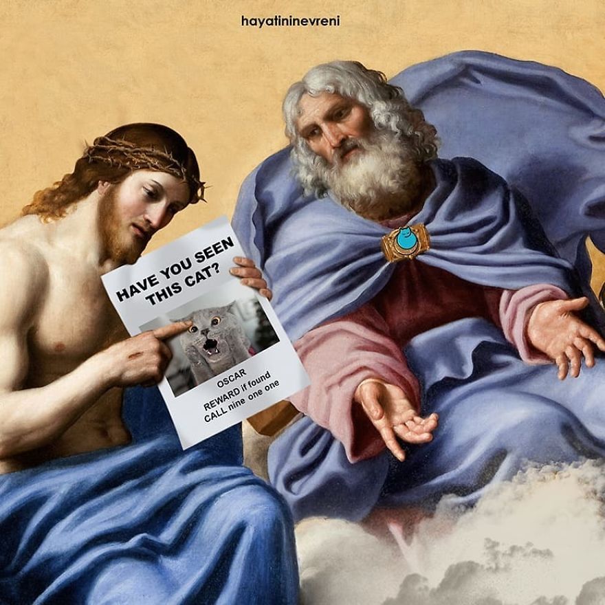 Have You Seen This Cat