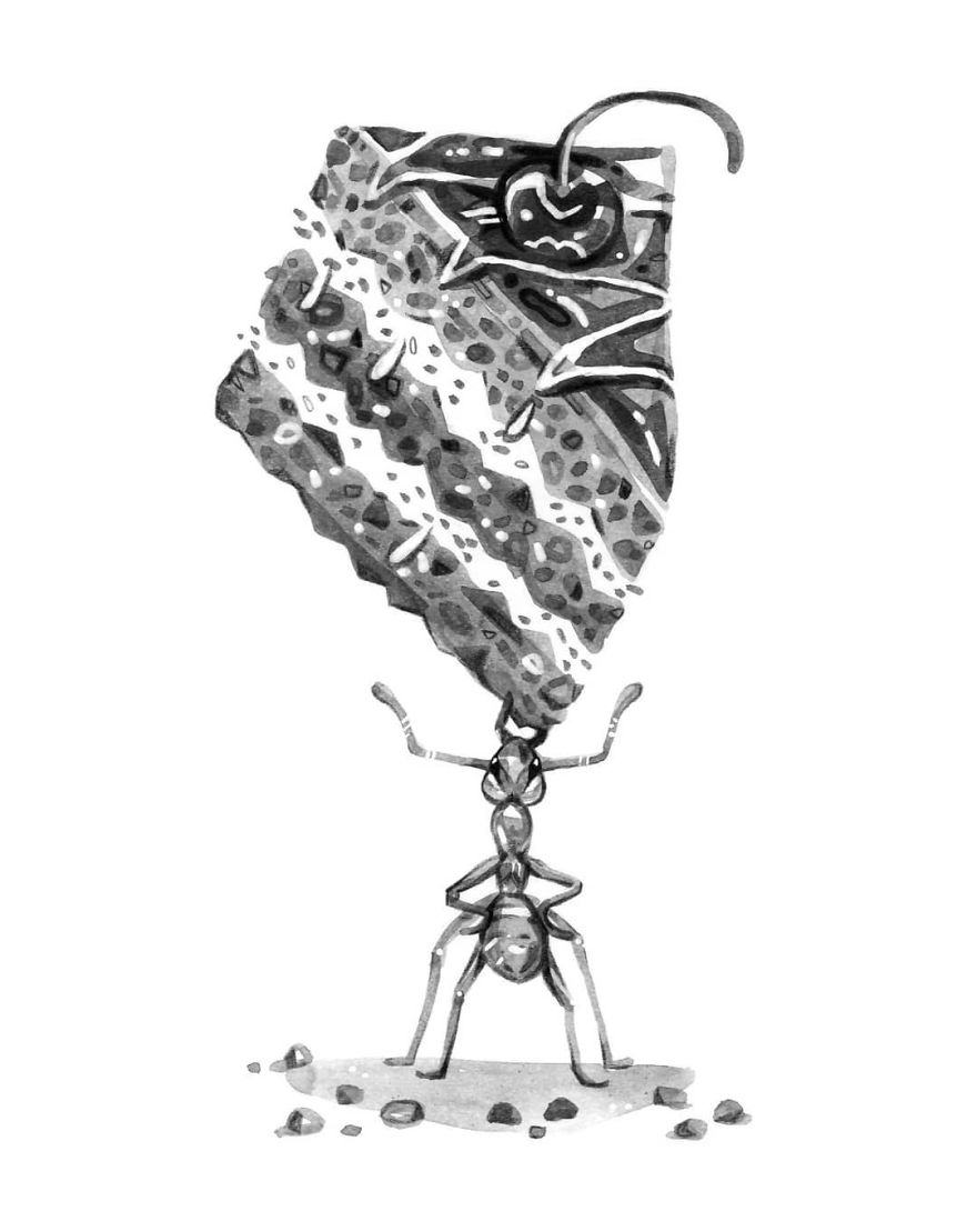 Pen And Ink Drawings For David Attenborough