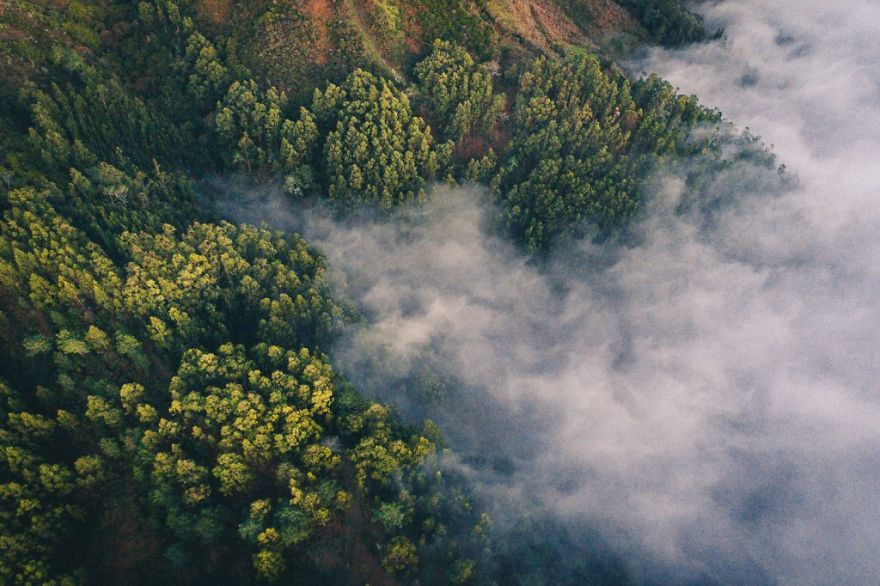 Changing Of Seasons In Sweden With A Bird’s-Eye View Changing Of Seasons In Sweden With A Bird’s-Eye View