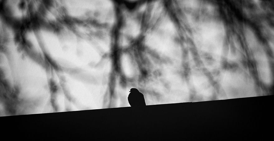 About Loneliness....