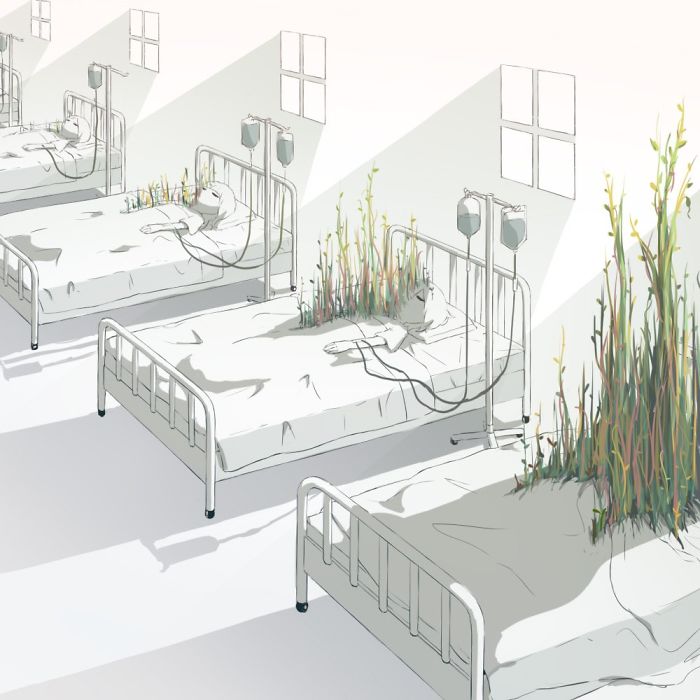 New-Poetic-Illustrations-Japanese-Artist-Avogado6