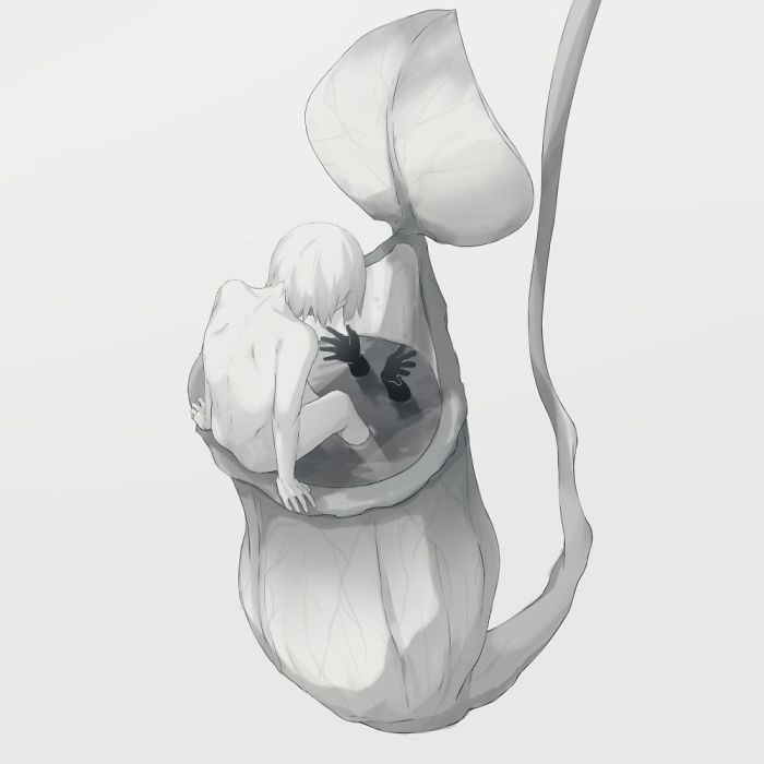 New-Poetic-Illustrations-Japanese-Artist-Avogado6