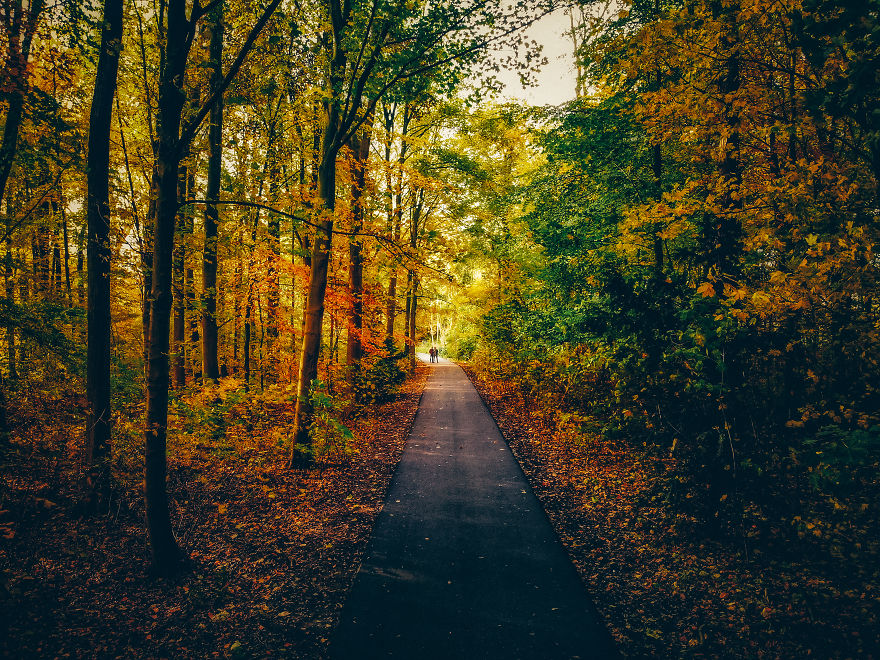 I Captured Autumn In Amsterdam