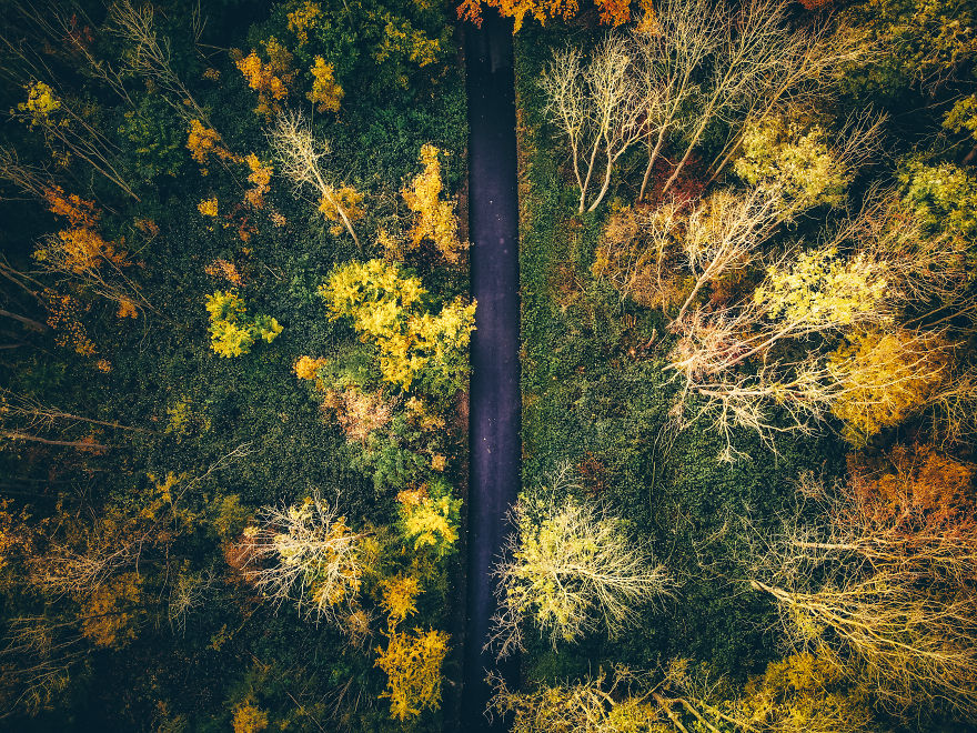 I Captured Autumn In Amsterdam