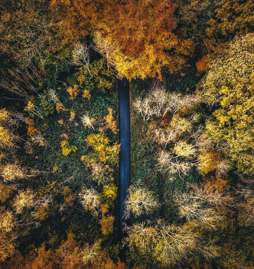 I Captured Autumn In Amsterdam