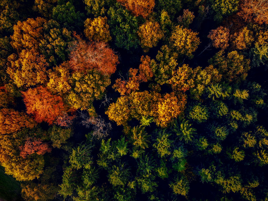 I Captured Autumn In Amsterdam