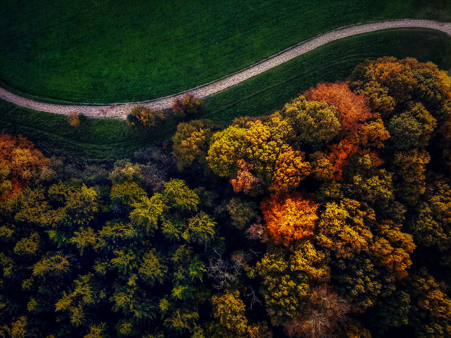 I Captured Autumn In Amsterdam