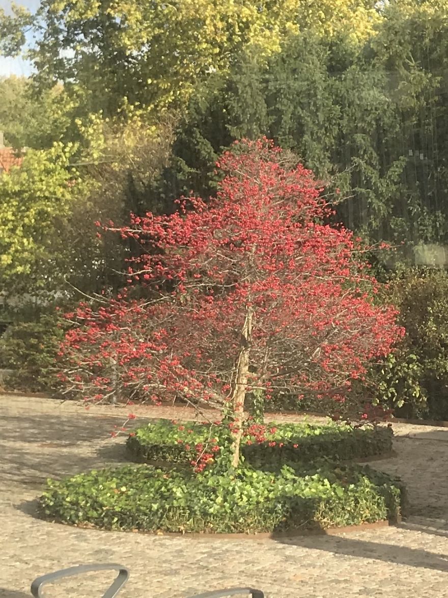 Here’s Why Copenhagen Is The Best City In Scandinavia