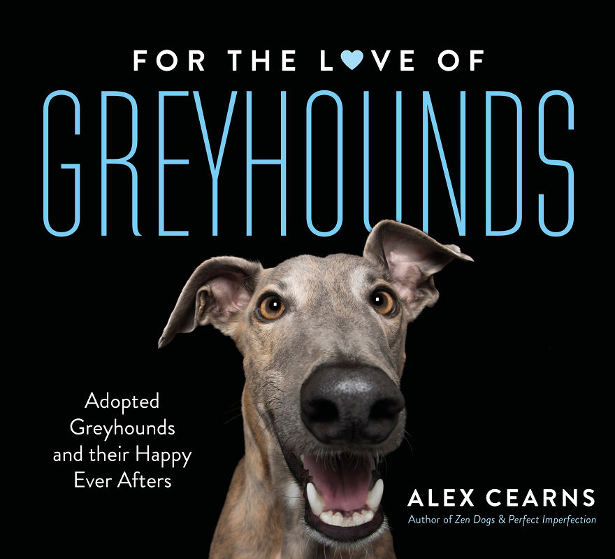 'for The Love Of Greyhounds - Adopted Greyhounds And Their Happy Ever Afters' 'for The Love Of Greyhounds - Adopted Greyhounds And Their Happy Ever Afters'