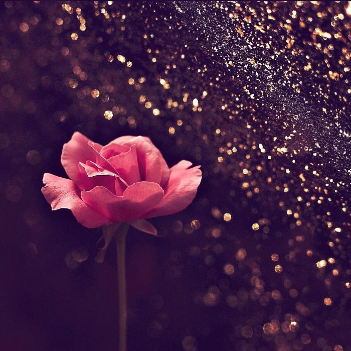 I Document The Beauty Of Small Things