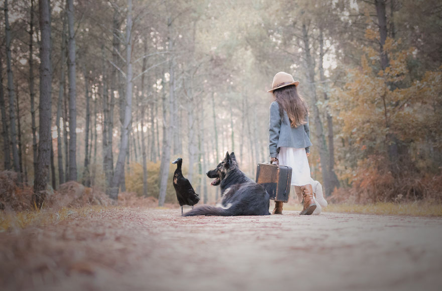 I Photograph The Unexpected Friendship Between My Dog & My Duck