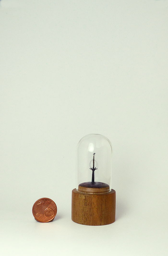 Swallow Under The Glass Dome