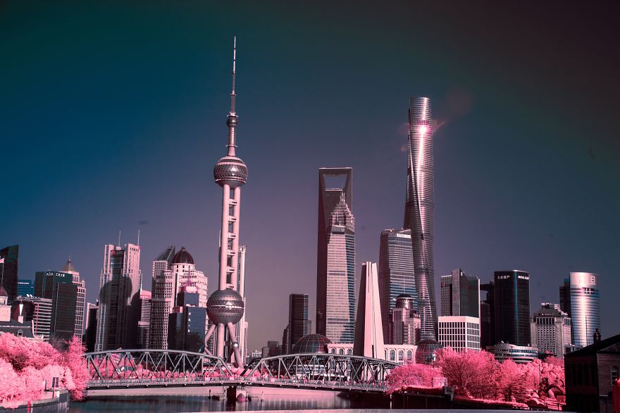 Shanghai Skyline