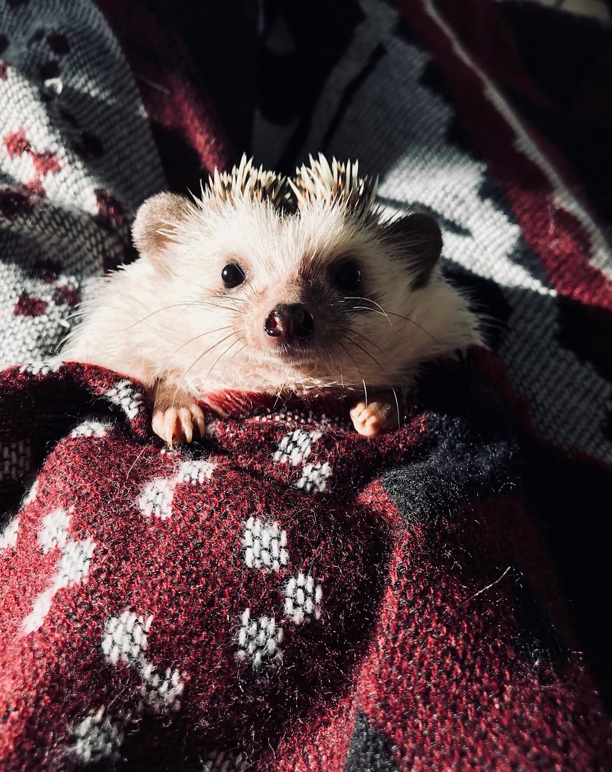 Good Night Little One