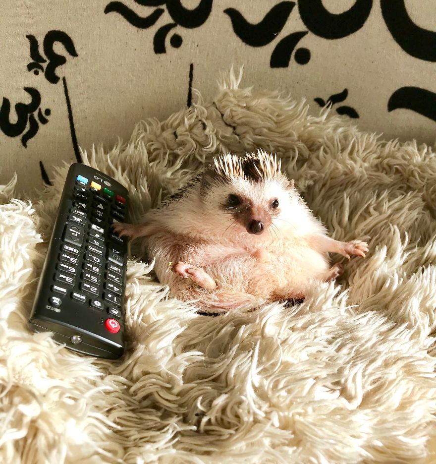 Don't Turn Off The TV! I'm Watching It!