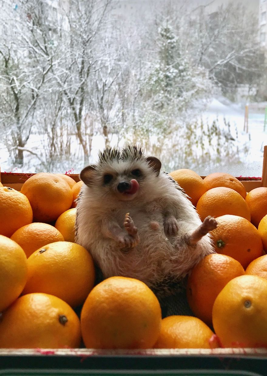 I’m Ready For Winter