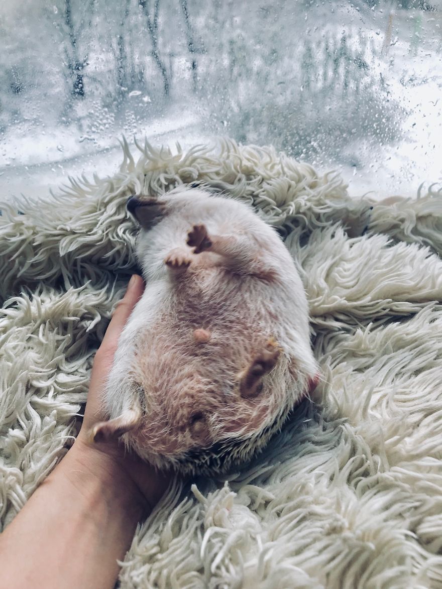 Just 5 More Minutes, Please...