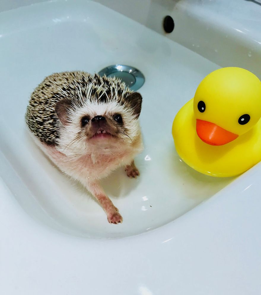 Bath Time!