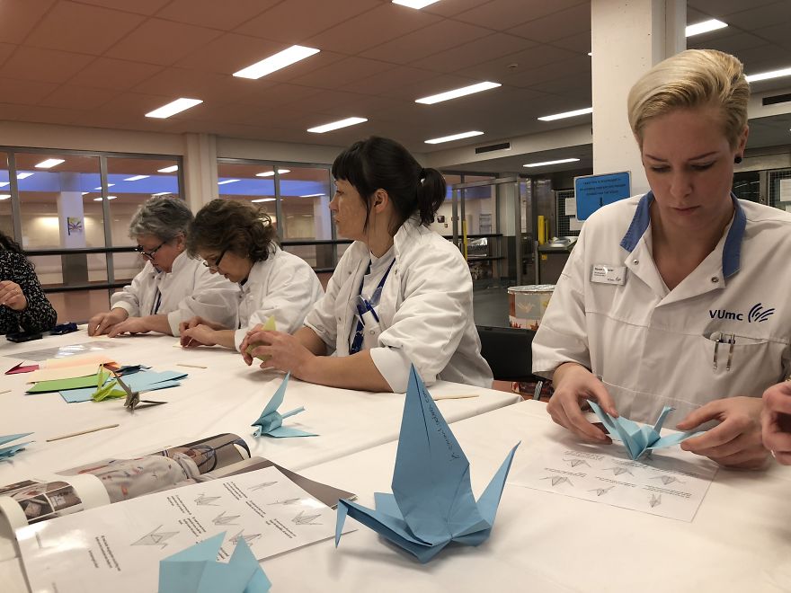 This Amsterdam Hospital Staff Folded 1.000 Paper Cranes To Help Patients Sleep This Amsterdam Hospital Staff Folded 1.000 Paper Cranes To Help Patients Sleep