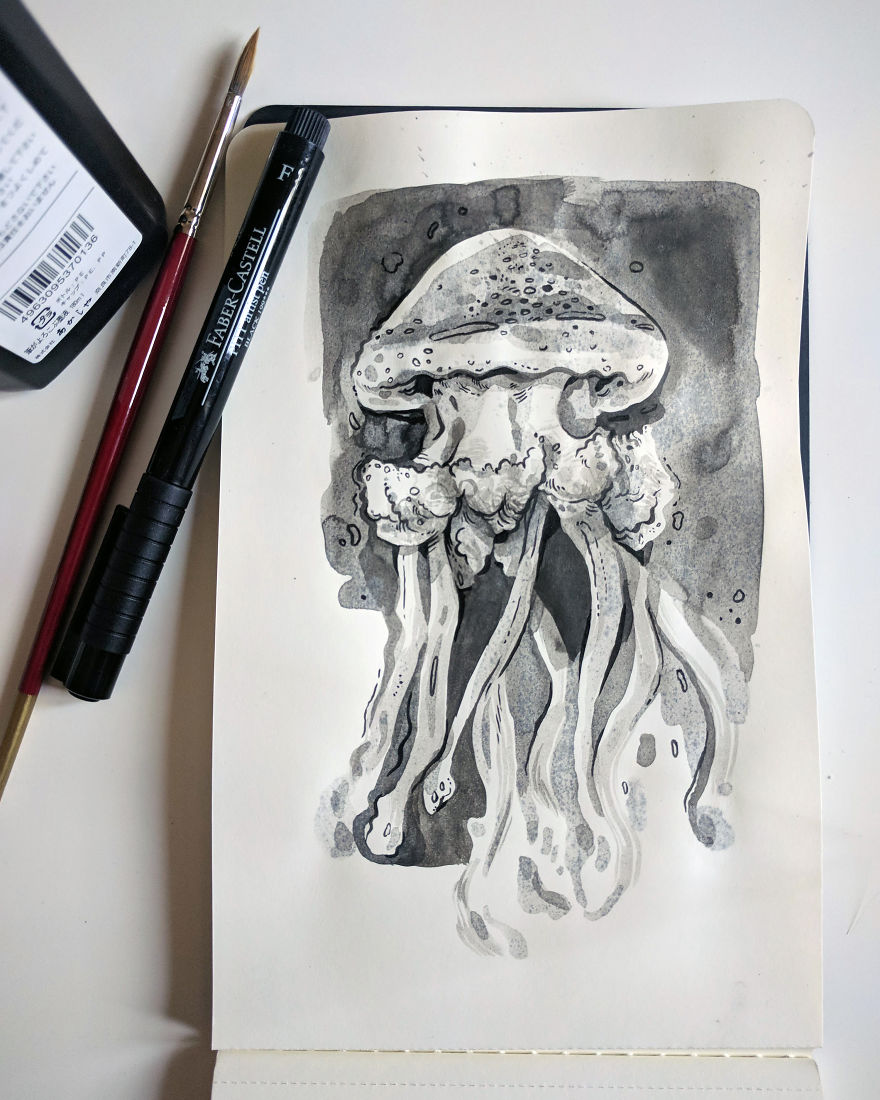 Pen And Ink Drawings For David Attenborough