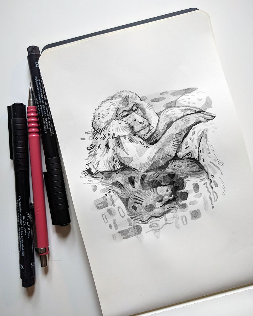 Pen And Ink Drawings For David Attenborough