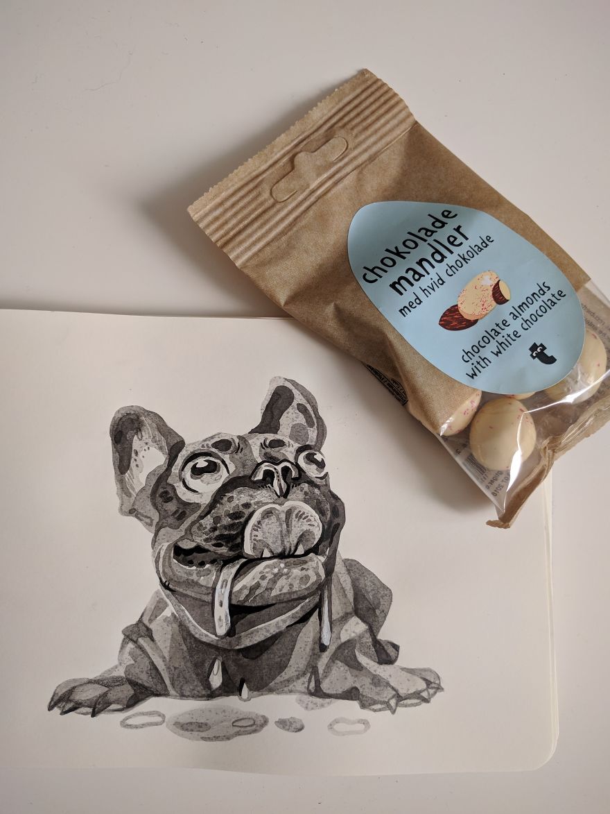 Pen And Ink Drawings For David Attenborough