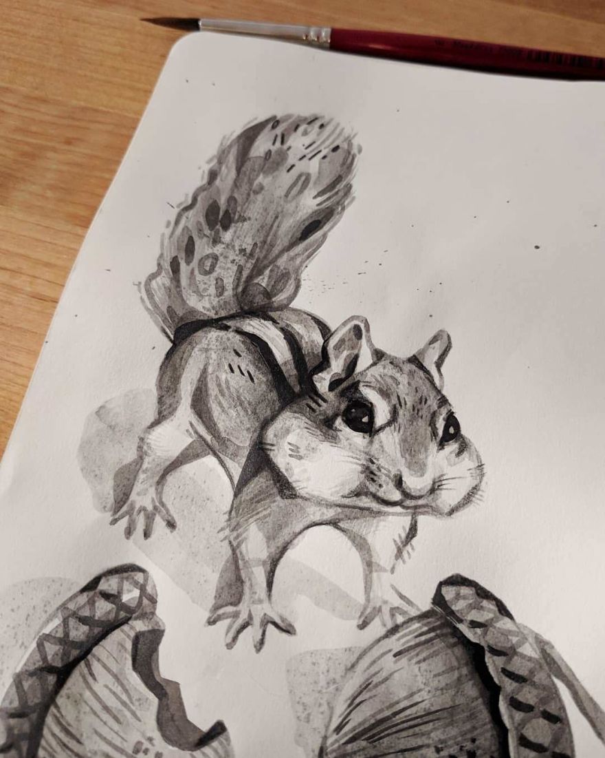 Pen And Ink Drawings For David Attenborough