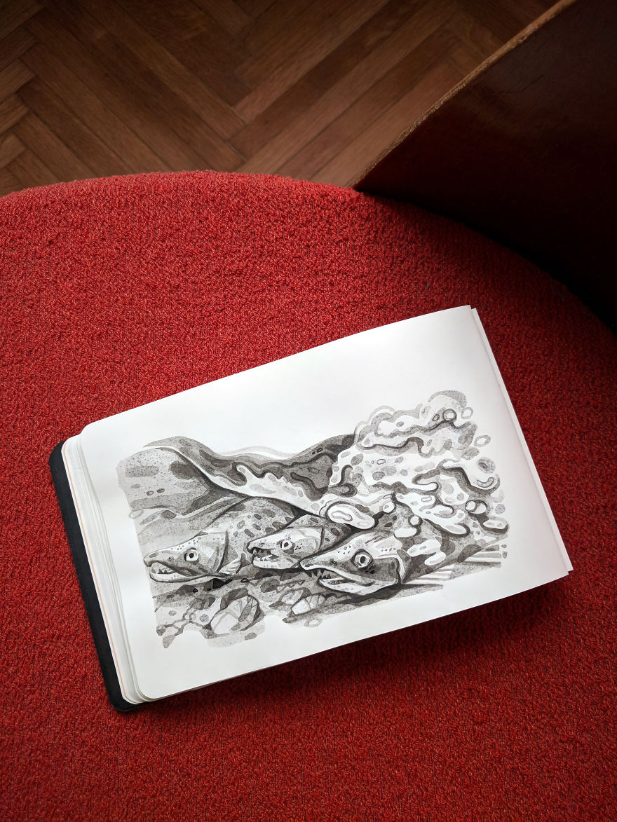 Pen And Ink Drawings For David Attenborough