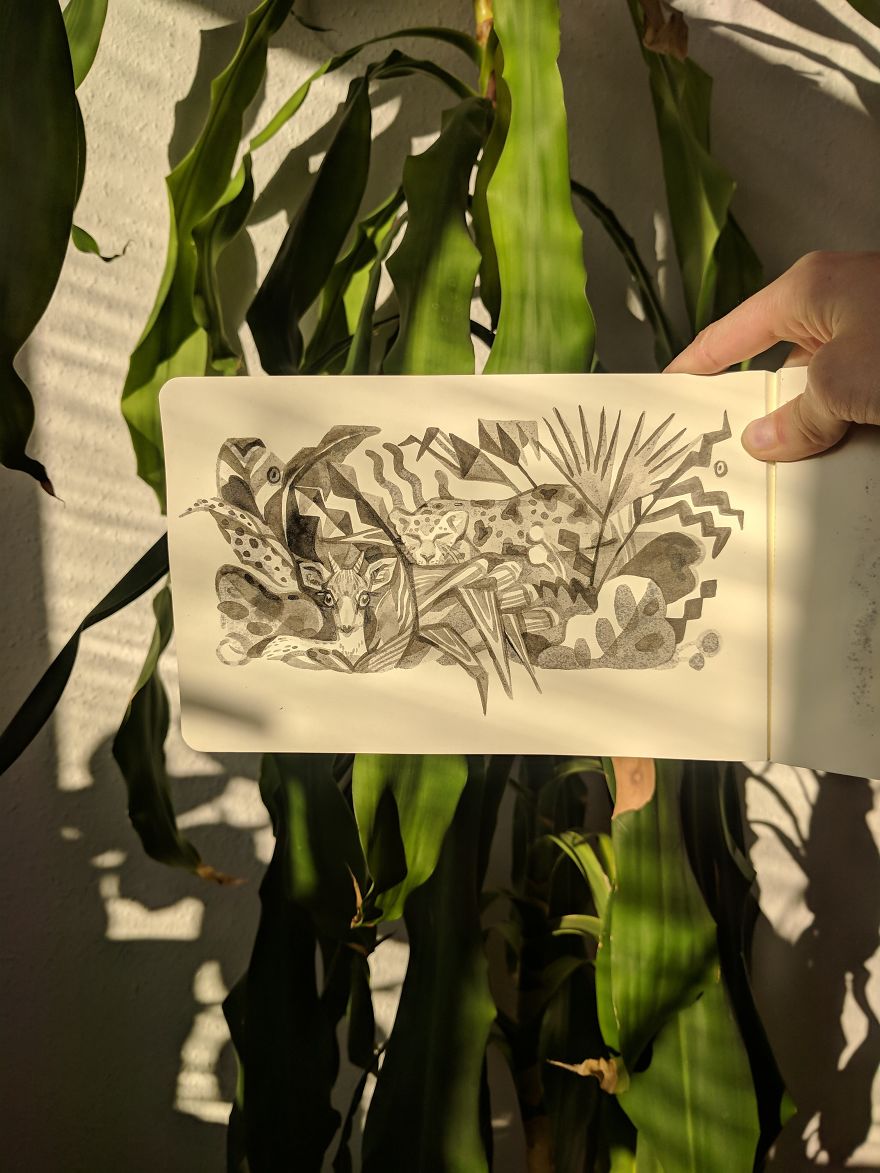 Pen And Ink Drawings For David Attenborough